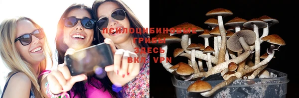 герыч Куйбышев