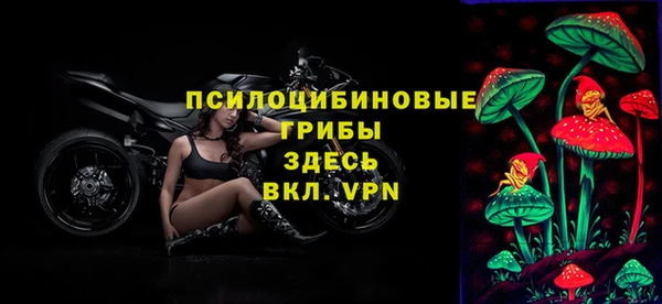 гидропоника Кукмор