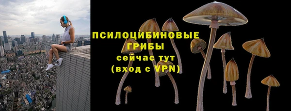 гидропоника Кукмор