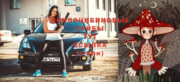 гидропоника Кукмор