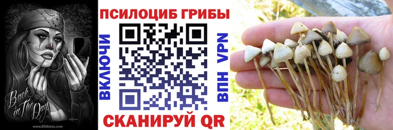 Псилоцибиновые грибы Magic Shrooms  магазин  наркотиков  Зарайск 